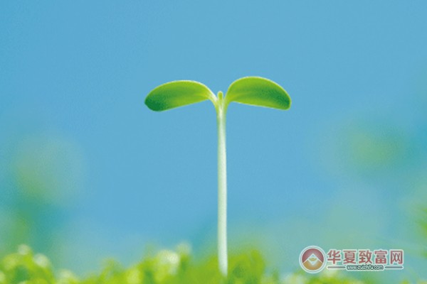 林内卫浴加盟